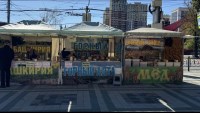  В парке Победы пчеловоды Ставропольского края представят лучшие сорта натурального меда.