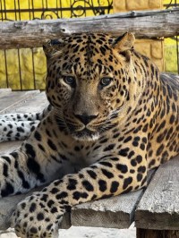  Удивительные животные в нашем зоопарке