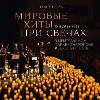  Lumisfera впервые в Зеленом театре — концерт под открытым небом! 
