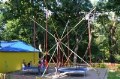 Кенгуру
